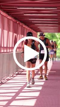 BIB:  <button type="button" onclick="openModal(27523656)" class="btn btn-primary btn-sm float-right" data-toggle="modal" data-target=".modal-high-quality">
                <i class="fa fa-download"></i> Download
                </button>